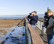 South Bay Salt Pond Restoration Project