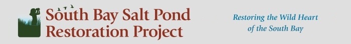 South Bay Salt Pond Restoration Project