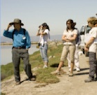 South Bay Salt Pond Restoration Project
