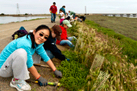 South Bay Salt Pond Restoration Project