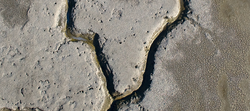 Island Ponds mudflat to vegetation in one year, 2008