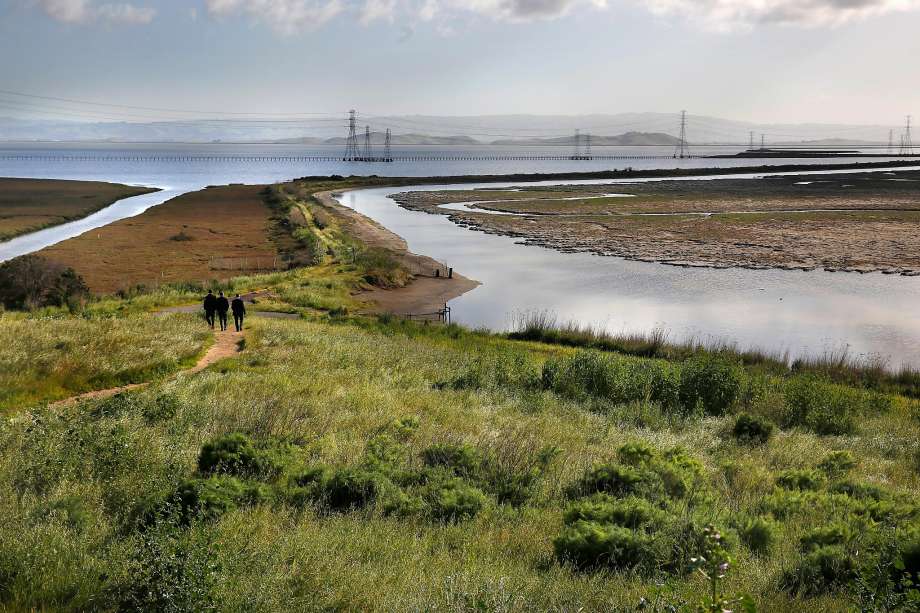 View from Bedwell Bayfront Park overlook, Ravenswood. Credit: Michael Macor, SF Chronicle