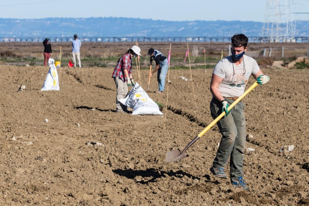 Save The Bay hard at work in Ravenswood. Credit: Ivan Parr