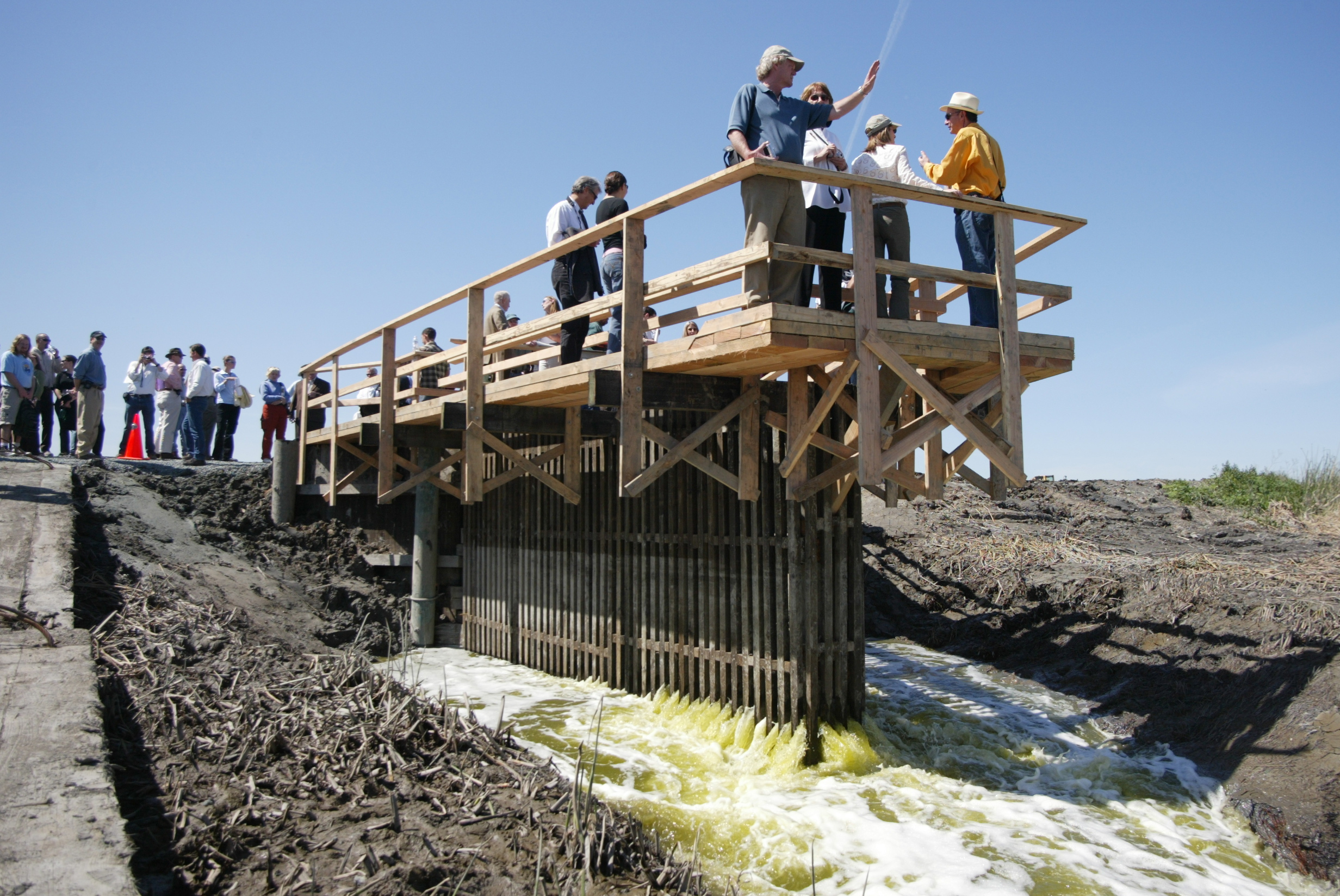 Early work: opening tide gates in 2004 and 2005 stopped salt-making in ponds and helped attract thousands of birds. Credit: Rob Holt.