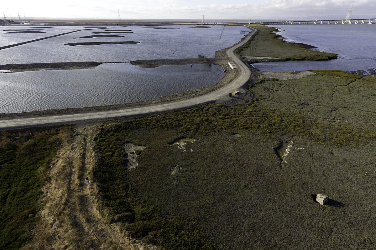 We will be on this Ravenswood SF2 trail south of Dumbarton Bridge. Credit: Cris Benton