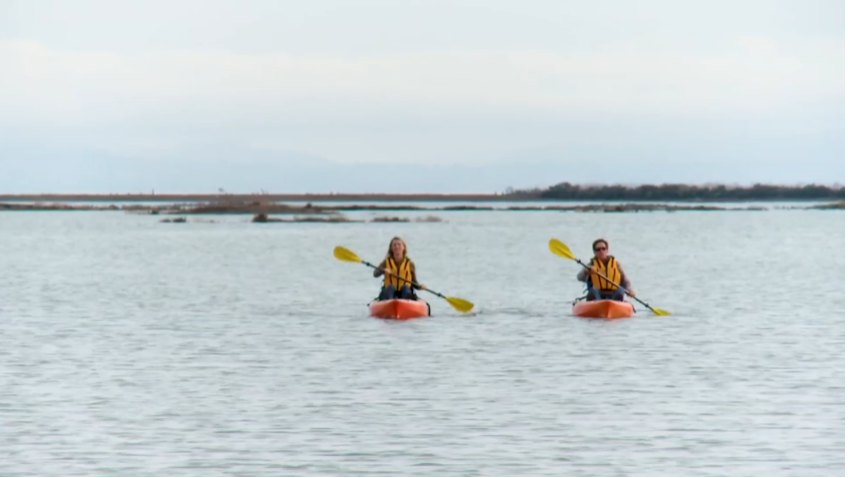 OpenRoad: Largest wetland restoration project on the west coast (Episode 91)