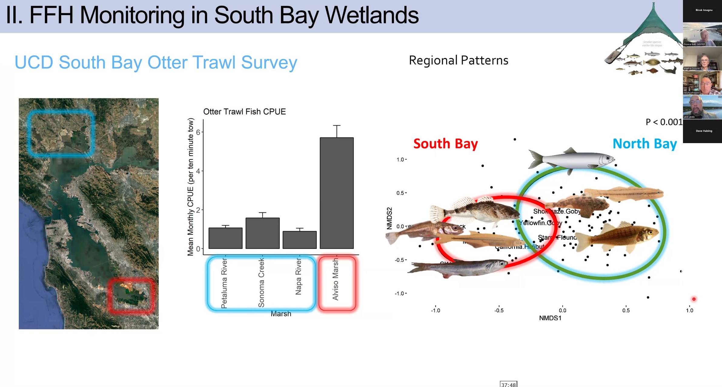 Lunch and Learn Science: Fish and Fish Habitats in South Bay Wetlands