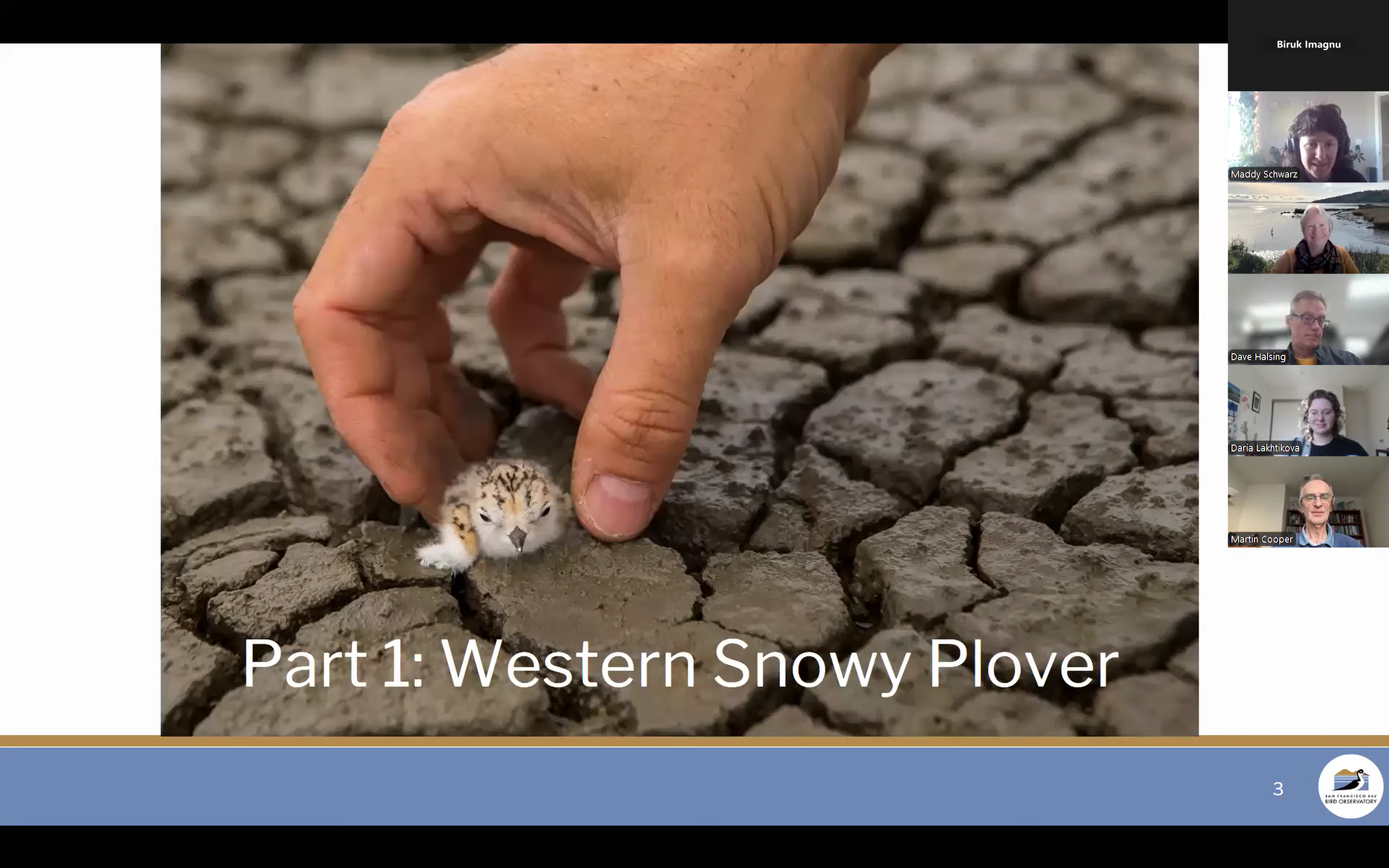 Lunch and Learn Science: Plovers in a Changing World