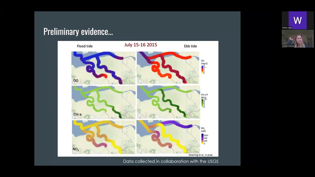 Lunch and Learn Science: Sloughs and Salt Ponds - Investigating Water Quality