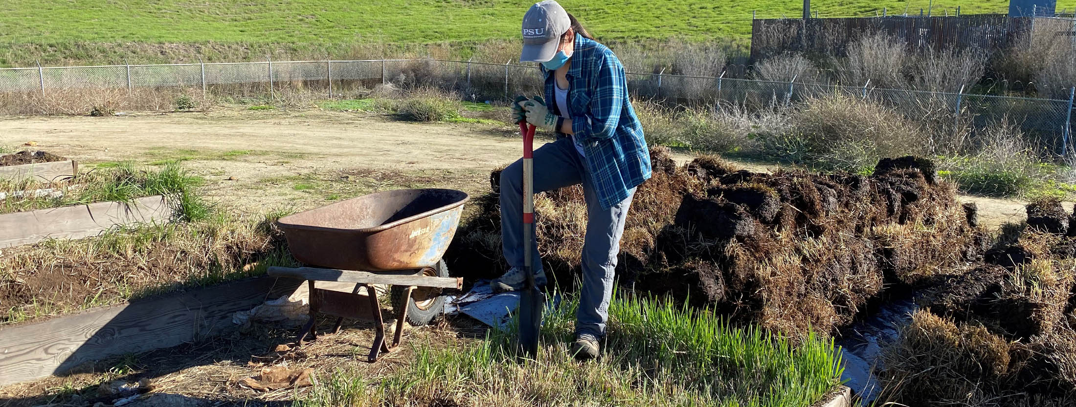 Person digging with a shovel