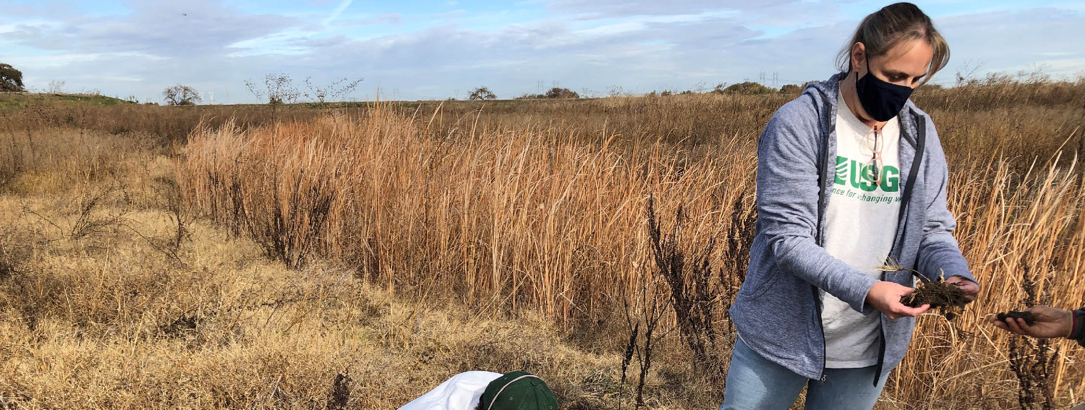 People measuring in a marsh