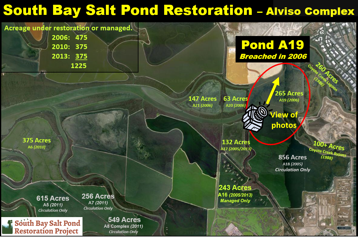 Map of rough location of my photos by boat of Pond A19, opened to the Bay in 2006 to regrow tidal marsh.