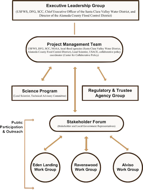 Management Structure