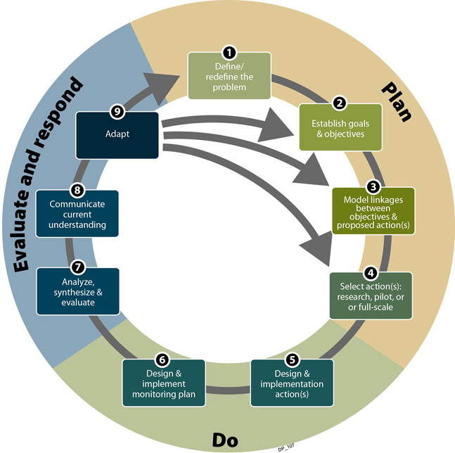 Cycle for adaptive management