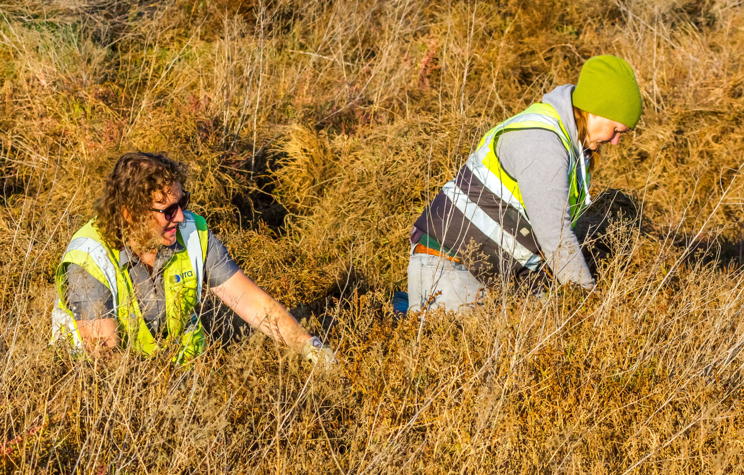 restoration practitioners