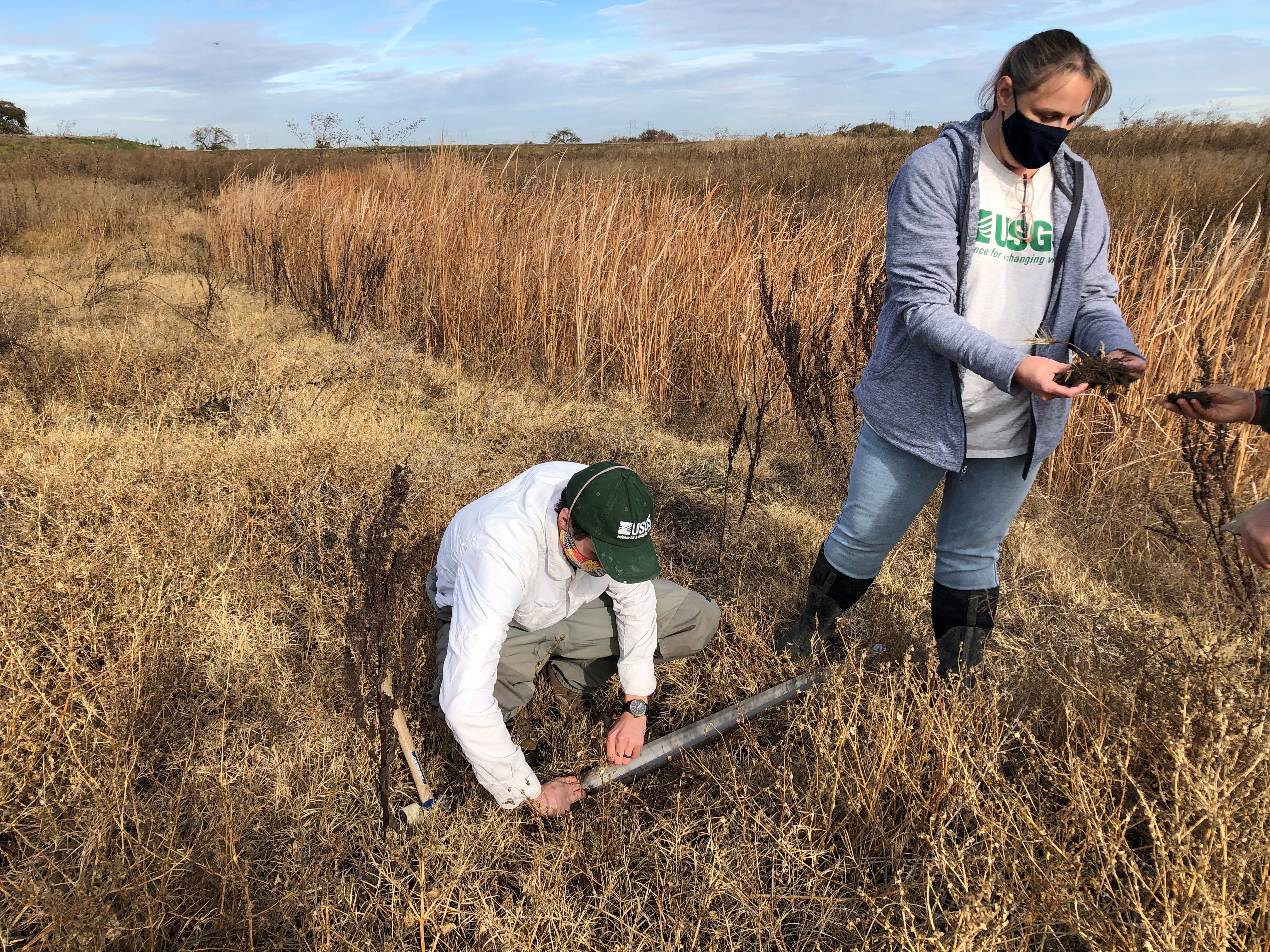 USGS sediment coring at Dutch Slough restoration.