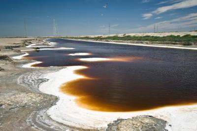 Salt-encrusted red pond waters east of the Duck's Head pond. Credit: Judy Irving, Pelican Media.