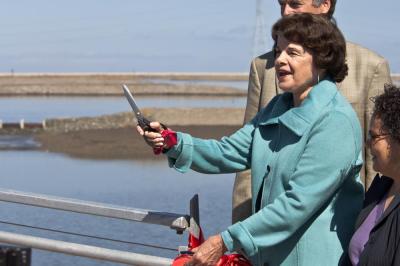 U.S. Senator Dianne Feinstein cuts the ribbon to open new viewing platforms at enhanced Pond SF2 in the Ravenswood complex near Menlo Park. Credit: Judy Irving, Pelican Media.
