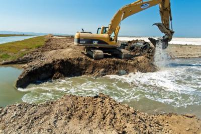 An excavator chews open a levee to connect Eden Landing ponds to Bay tides. Credit: Judy Irving, Pelican Media.