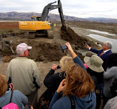The crowd snaps photos as the excavator digs away to open Alviso Pond A17 to Bay tides. Credit: Judy Irving, Pelican Media.
