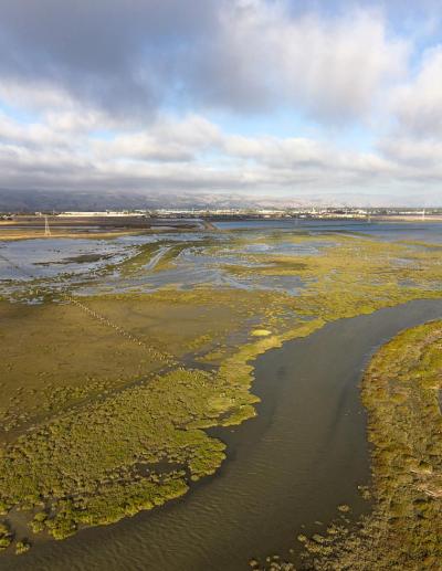 Ponds and wetlands of southern Eden Landing Ecological Reserve. Credit: Cris Benton