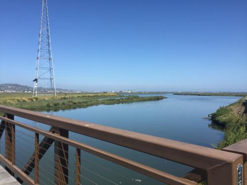 Bair Island in Redwood City, California. (Isha Salian/Peninsula Press)