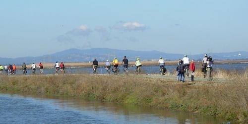 Bike Ride Tour at Don Edwards SFB National Wildlife Refuge