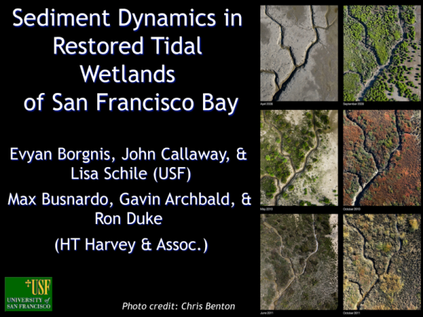 Sediment Dynamics and Vegetation Recruitment in Newly Restored Salt Ponds (2013) Title Slide
