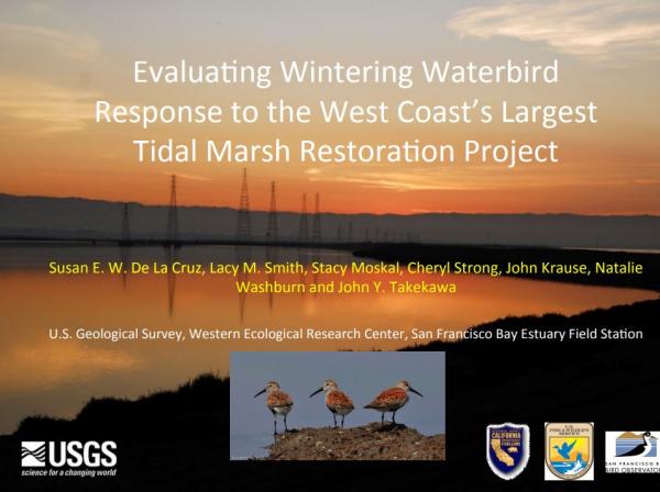 Will wintering and migrating birds be affected by the restoration? (Title Slide)