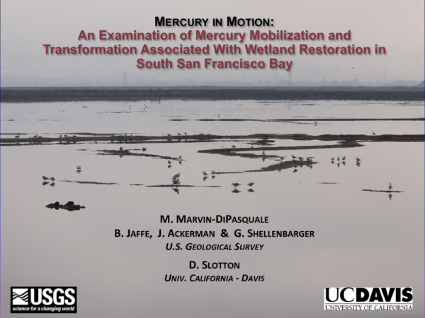 An Examination of Mercury Mobilization and Transformation Associated With Wetland Restoration in South San Francisco Bay (Title Slide)