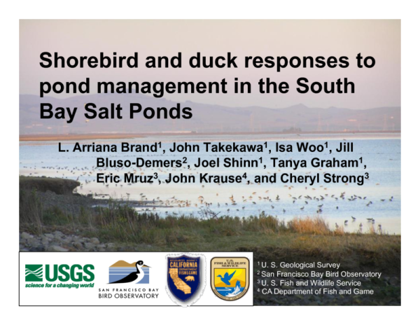 Shorebird and Duck Responses to Pond Management in the South Bay Salt Ponds (Title Slide)