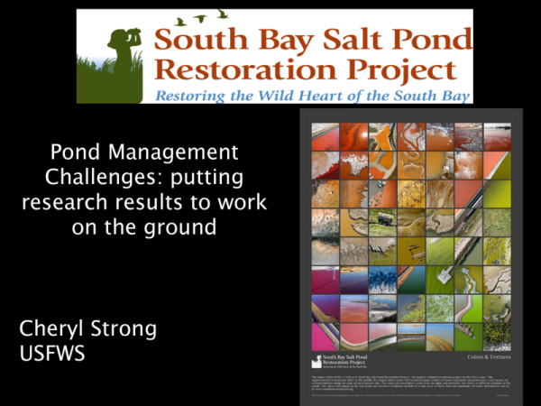 Changes in Management of Ponds in Response to Bird Research Results (Title Slide)