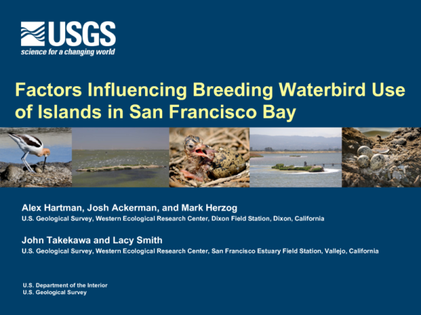 Factors Influencing Breeding Waterbird Use of Islands in San Francisco Bay (Title Slide)