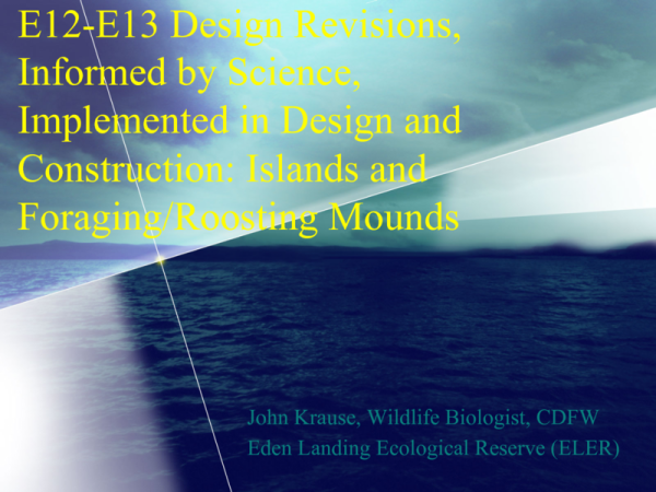 E12-E13 Design Revisions, Informed by Science, Implemented in Design and Construction: Island Design and foraging/roosting enhancements (Title Slide)