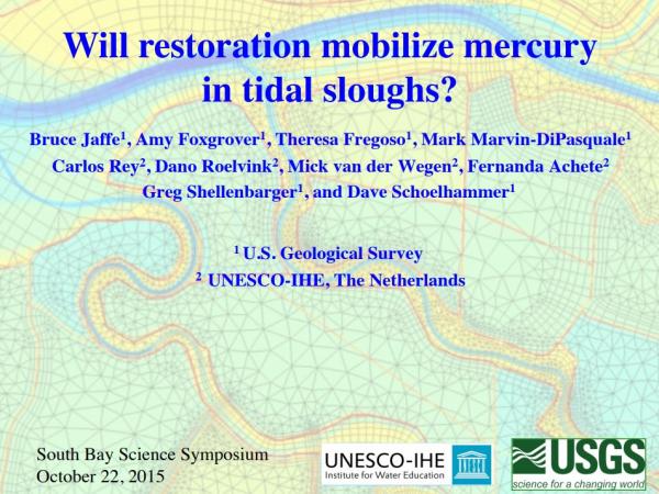 Will restoration remobilize mercury in the slough? (title slide)