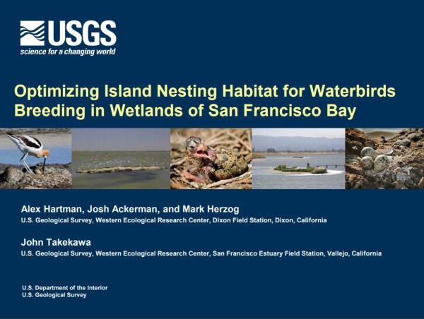 Optimizing Island Nesting Habitat for Waterbirds Breeding in Wetlands of San Francisco Bay - first slide