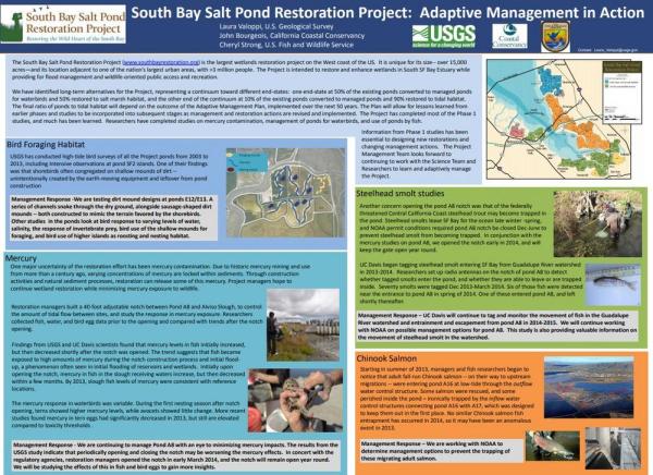 South Bay Restoration Project: Adaptive Management in Action - Poster thumbnail