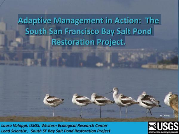 Adaptive Management in Action: The South San Francisco Bay Salt Pond Restoration Project. - Introductory slide
