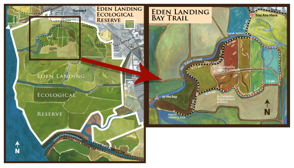 Eden Landing Map