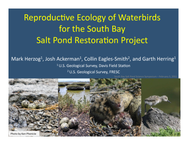 Reproductive Ecology of Waterbirds within the South Bay Salt Pond Restoration Project (Title Slide)
