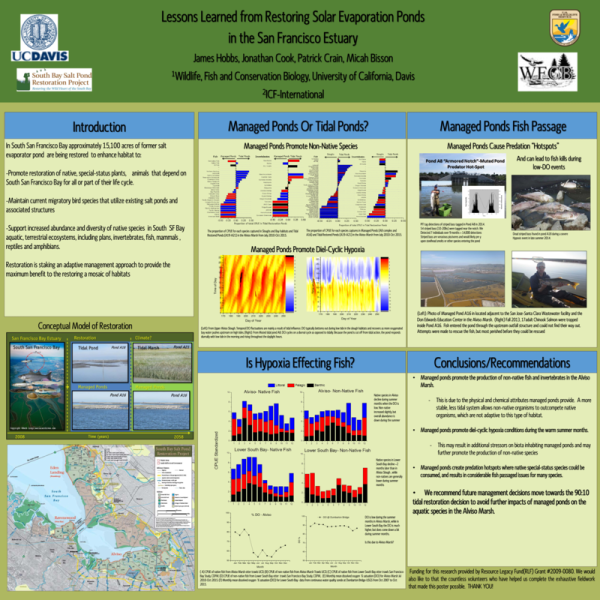 Lessons Learned from Restoring Solar Evaporation Ponds in the San Francisco Estuary Poster Thumbnail