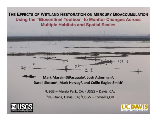 The Effects of Wetland Restoration on Mercury Bioaccumulation in the South Bay Salt Pond Restoration Project: Using the Biosentinel Toolbox to Monitor Changes Across Multiple Habitats and Spatial Scales (Title Slide)