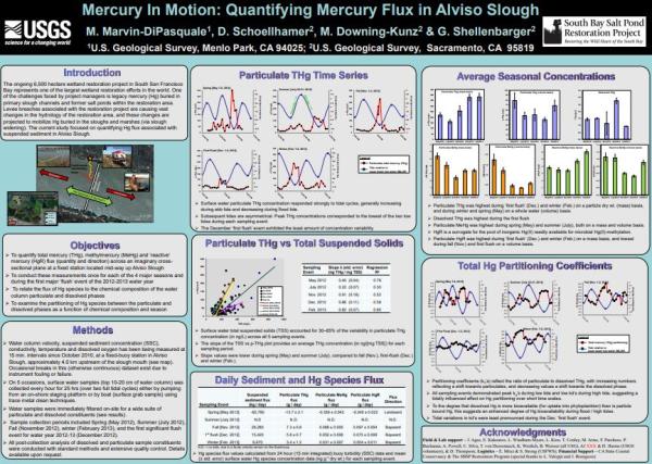 Mercury In Motion: Quantifying Mercury Flux in Alviso Slough