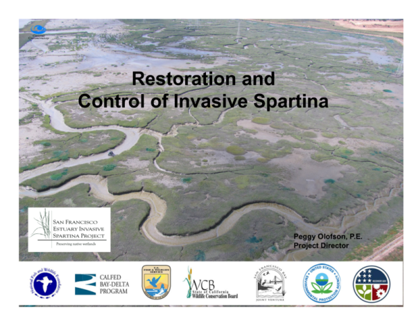 Restoration and Control of Invasive Spartina in the San Francisco Estuary (Title Slide)