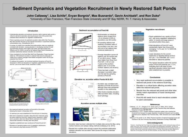 Sediment Dynamics and Vegetation Recruitment in Newly Restored Salt Ponds