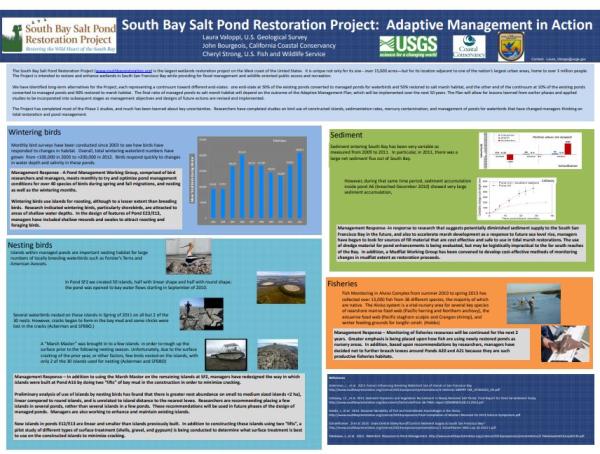 South Bay Salt Pond Restoration Project: Adaptive Management in Action