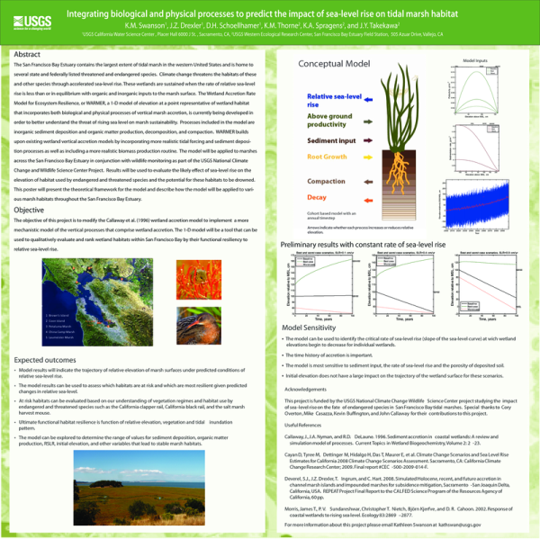 Integrating Biological and Physical Processes to Predict the Impact of Sea- Level Rise on Tidal Marsh Habitat (Poster Thumbnail)
