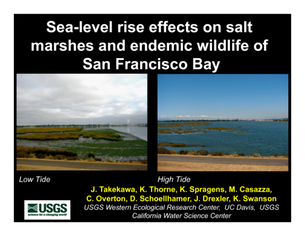 Sea-level Rise Effects on Salt Marshes and Endemic Wildlife of San Francisco Bay (Title Slide)