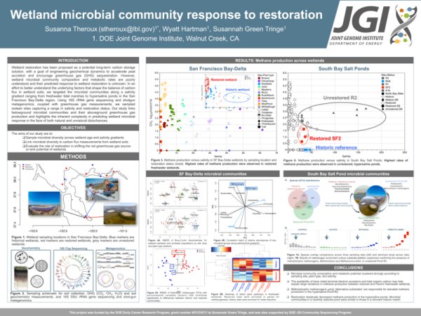 Wetland microbial community response to restoration Poster Thumbnail