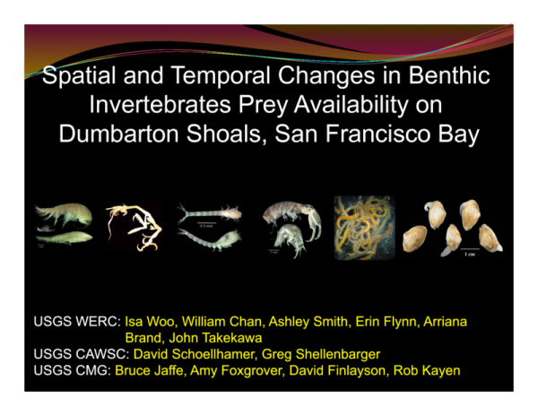 Temporal and Spatial Changes in Benthic Invertebrate Prey Availability on the Shoals off Pond SF2 in San Francisco Bay (Title Slide)